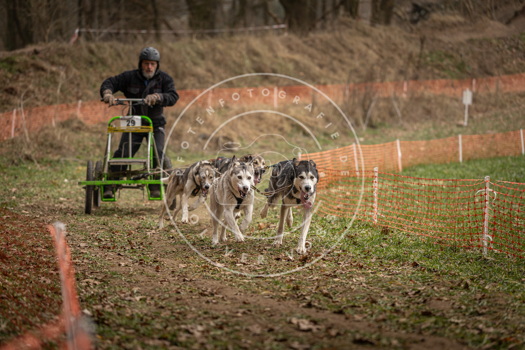 Pfotenfotografie_DV3A8402 | Hundefotografie, Tierfotograf, Pfotenfotografie, Fotoshooting Hund, Hunde Portrait, Hundesport, Hundeportraits, Heideshooting, Hunde, Sportfotograf, Hundefotograf, Turnierhundsport, THS,  - Realisiert mit Pictrs.com