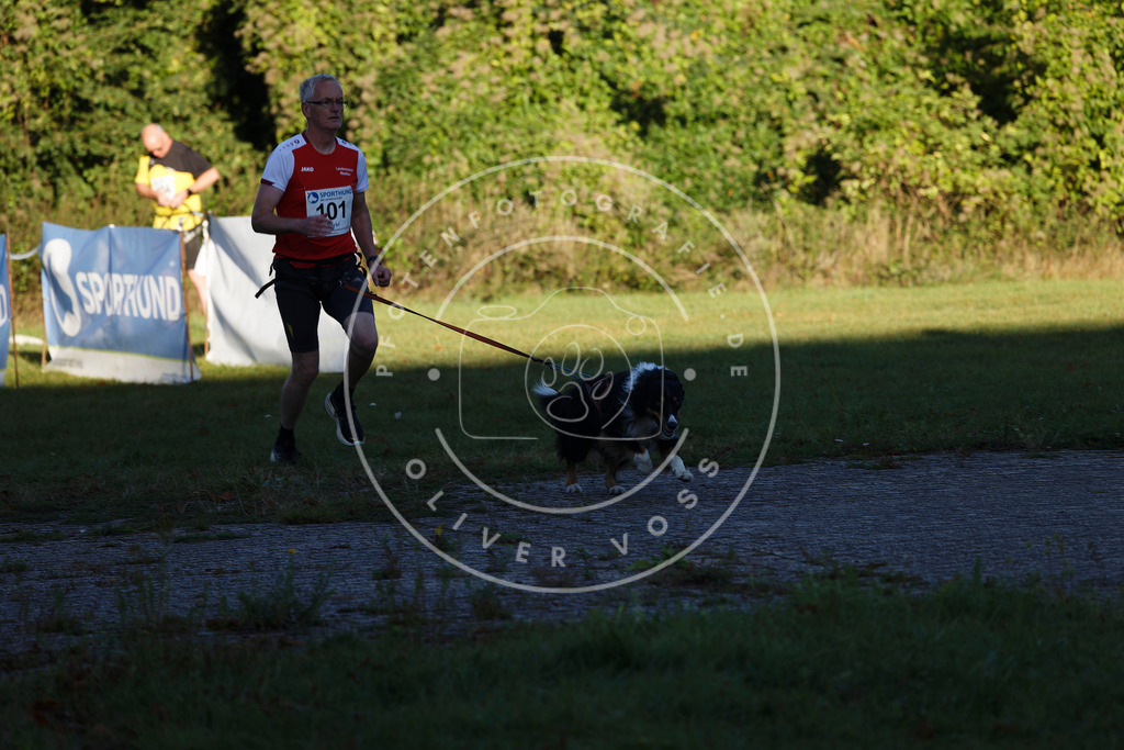 0L8A4662 | Hundefotografie, Tierfotograf, Pfotenfotografie, Fotoshooting Hund, Hunde Portrait, Hundesport, Hundeportraits, Heideshooting, Hunde, Sportfotograf, Hundefotograf, Turnierhundsport, THS,  - Realisiert mit Pictrs.com