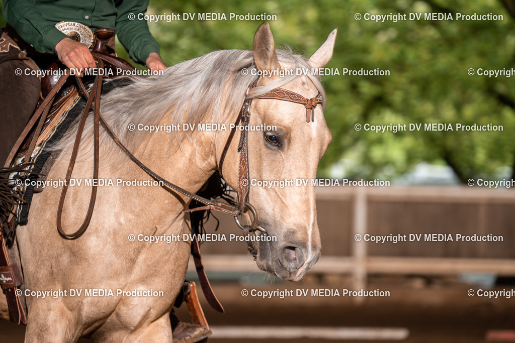 Erbach Tag 2-442 | dv-media-shop - Realisiert mit Pictrs.com