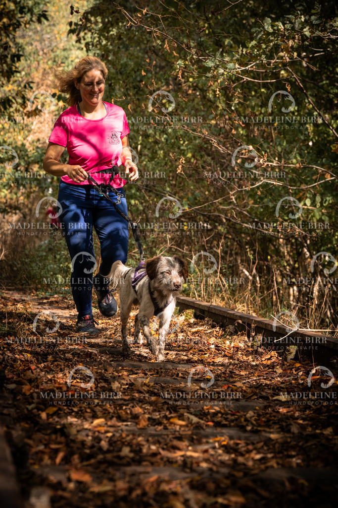 madeleinebirr.fotografie.2026.cc.hunsrueck.12-13Uhr.178 | hundefotografie-birr