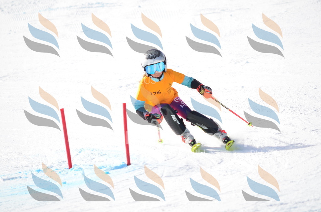 C7946 | holidayphoto