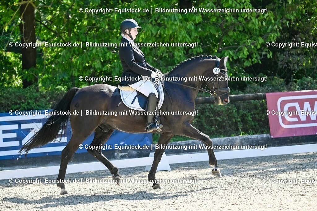 20230908_06_Dressur-L-Trense_0694 | equistock