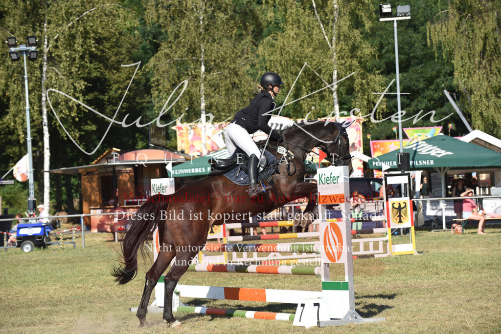 DSC_5394 | Pferde- und Turnierfotografie in Westsachsen. Pferdeportraits, Auftragszeichnungen und intuitive Kunst.