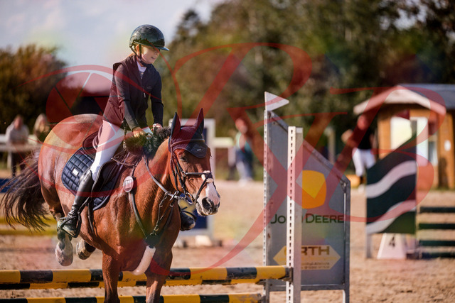 2026_10_03_Siefer-Hof_154631_Z81_65110577 | Professionelle Reitsport-, Turnier- und Eventfotografie von Robert Broda. Galerien mit ausgewählten und bearbeiteten Bildern direkt online ansehen und bestellen.