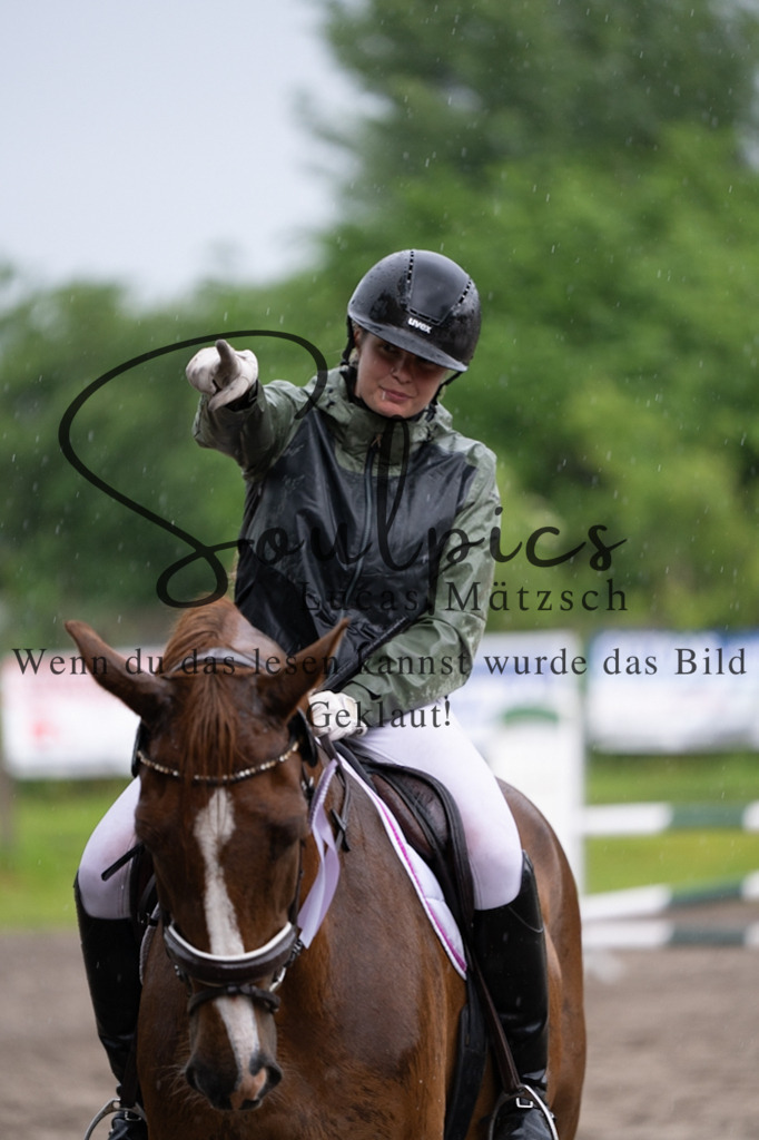 A7V05059 | Pferdefotograf