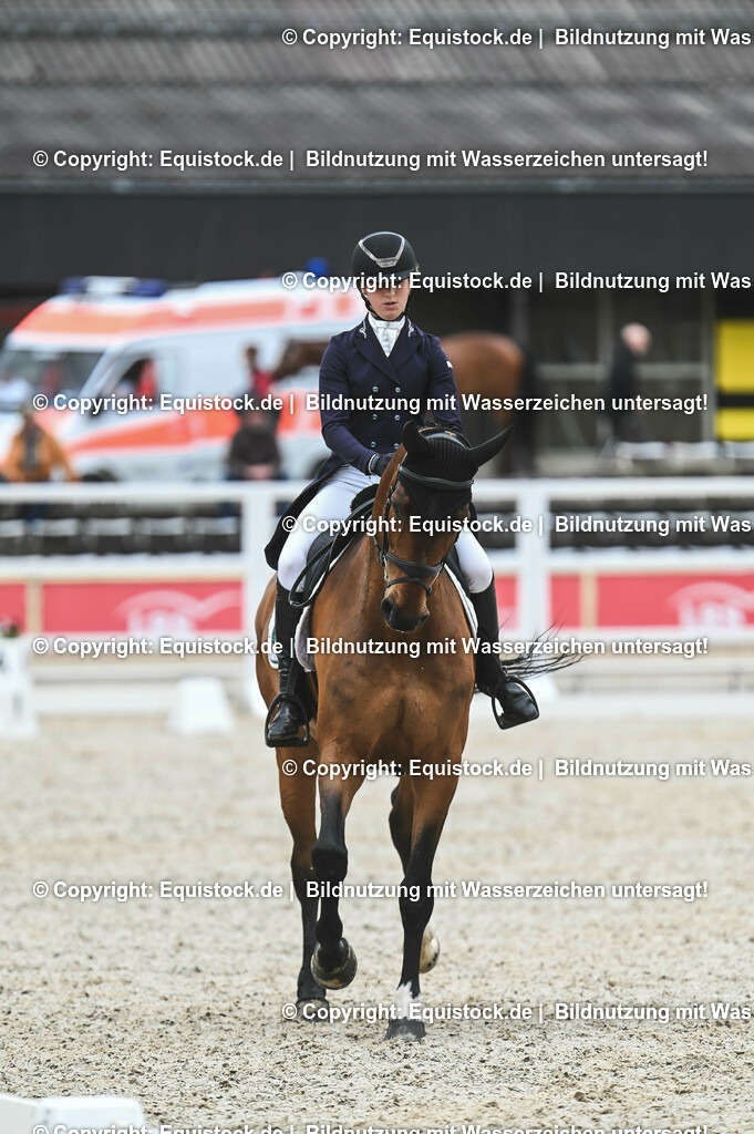 20230512_CCI4_Dressur_0282 | equistock