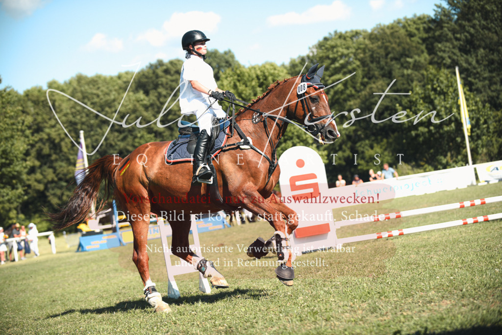 DSC_7632 | Pferde- und Turnierfotografie in Westsachsen. Pferdeportraits, Auftragszeichnungen und intuitive Kunst.