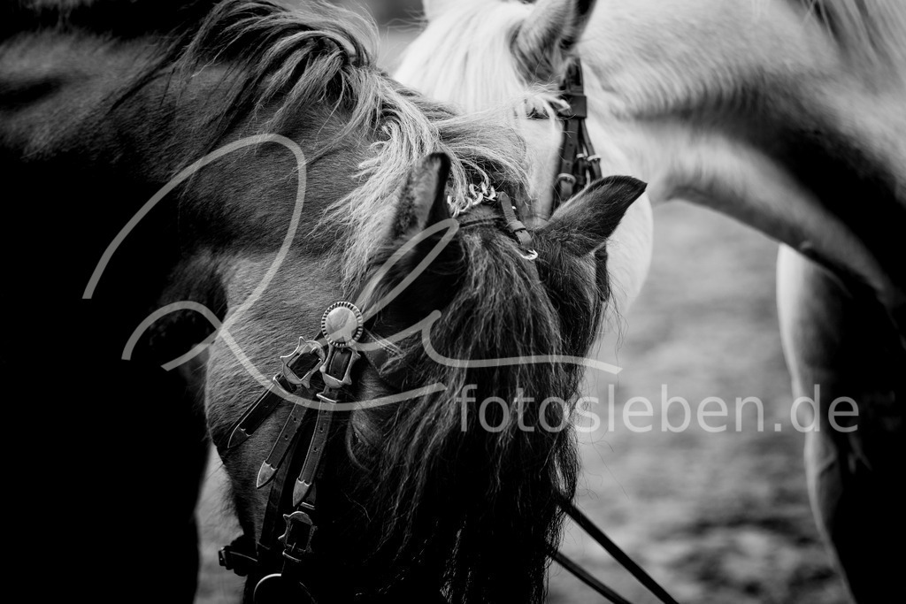 846A0443 | fotosleben - Realisiert mit Pictrs.com