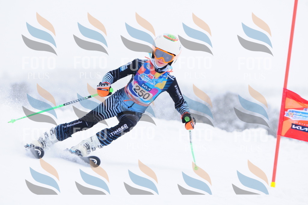 C2627 | holidayphoto