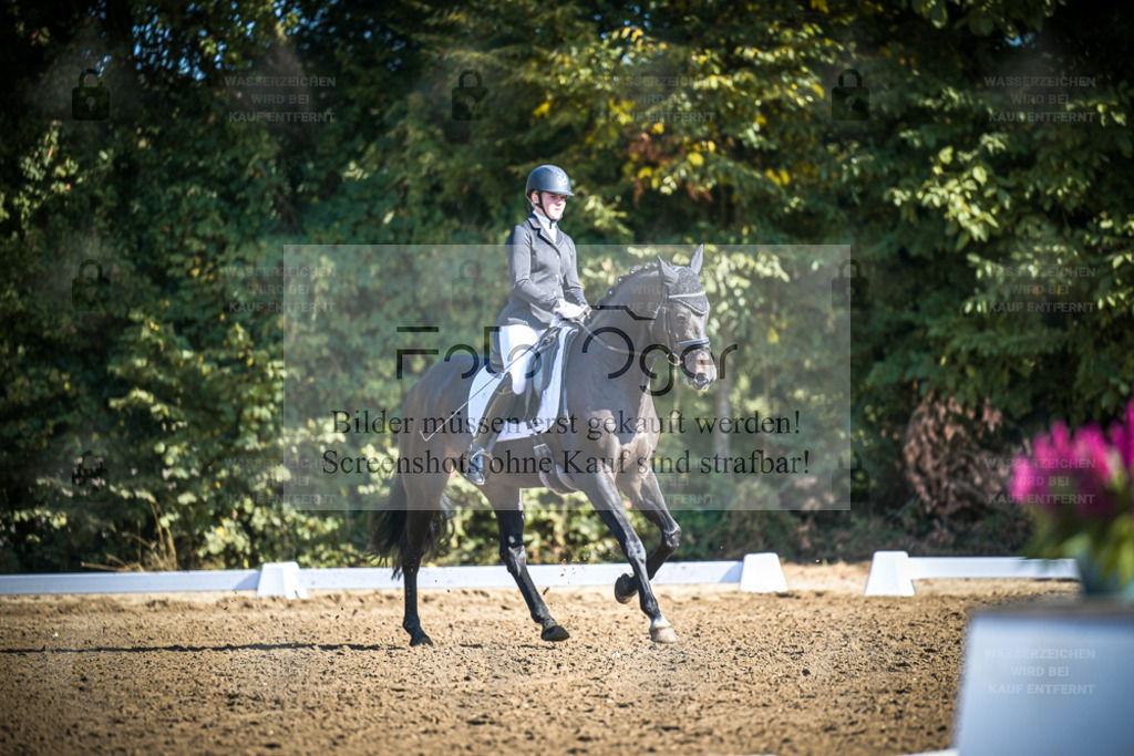 DOS_1631 | Entdecke hochwertige Reitturnierfotos von Foto Oger. Professionell, emotional und authentisch – jetzt Lieblingsmomente im Shop bestellen. - Realisiert mit Pictrs.com