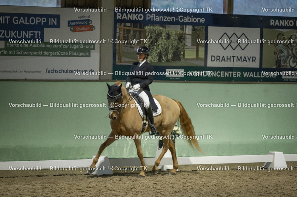 _D5A7228 | Emotionale Pferde- & People-Fotografie rund um Heidelberg, Leimen & Umgebung. Natürliche Fotos von Pferd, Mensch & Familie. Jetzt Termin sichern!