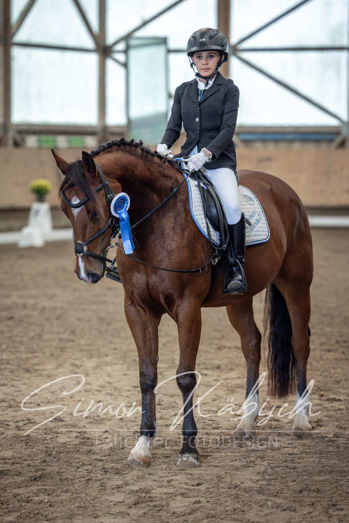 20251011-_3LI8513 | Tierfotografie Pferde, Hunde, Katzen, Haustiere.
Turnierfotografie Reitturniere, Reiten, Springreiten, Dressur in Hanau, dem Main-Kinzig-Kreis und dem Rhein-Main- Gebiet um Frankfurt