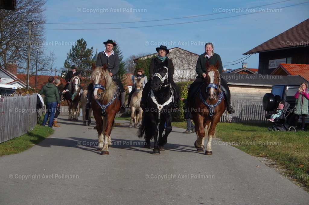 IMGP1581 | fotografiert von Axel PollmannLeonhardi Wallfahrt Benediktbeuern und Murnau, Fronleichnam, Fasching, Landschaft im Loisachtal und Benediktbeuern  - Realisiert mit Pictrs.com