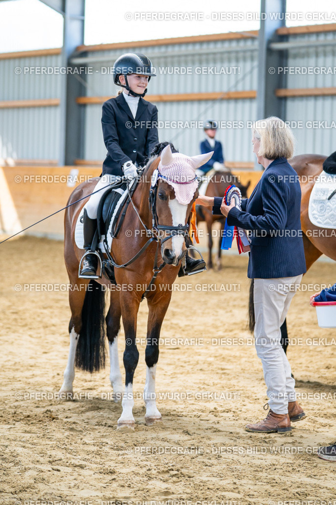 DSC01156 | Pferdegrafie