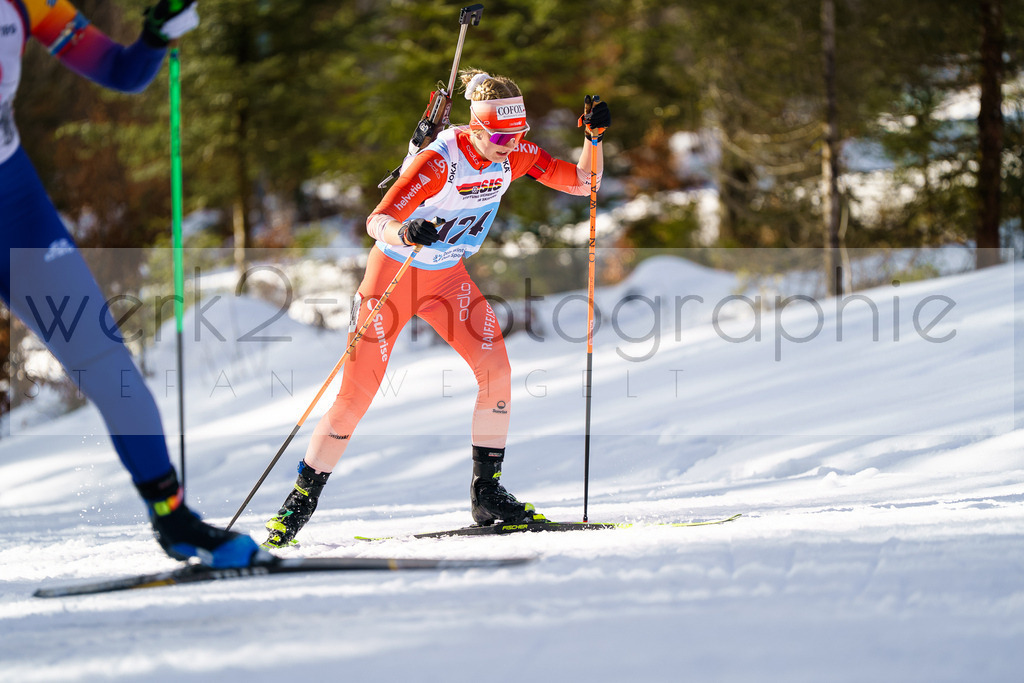 FESA Alpencup / DP Notschrei | Deutschland Pokal Finale im Schwarzwald NORDIC-CENTER Notschrei am 7. - 8. Februar 2026