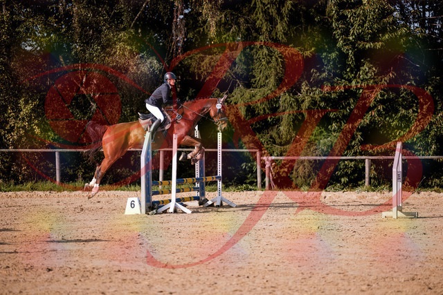 2026_10_03_Siefer-Hof_155630_Z81_76081674 | Professionelle Reitsport-, Turnier- und Eventfotografie von Robert Broda. Galerien mit ausgewählten und bearbeiteten Bildern direkt online ansehen und bestellen.