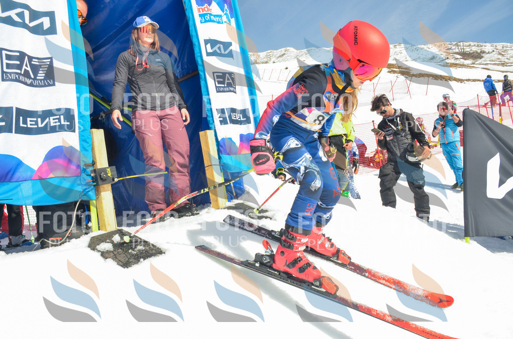 _ELE5589 | holidayphoto