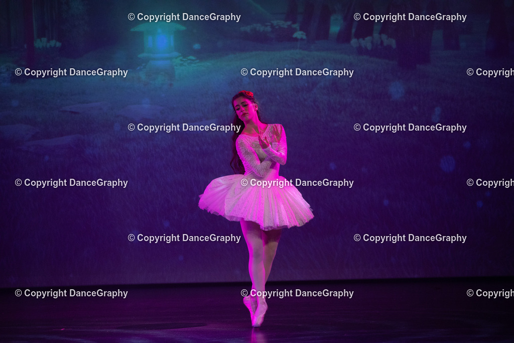 GPHY2206 | DanceGraphy - Realisiert mit Pictrs.com