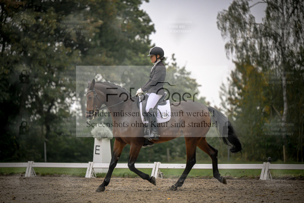 FOTO OGER | Entdecke hochwertige Reitturnierfotos von Foto Oger. Professionell, emotional und authentisch – jetzt Lieblingsmomente im Shop bestellen. - Realisiert mit Pictrs.com