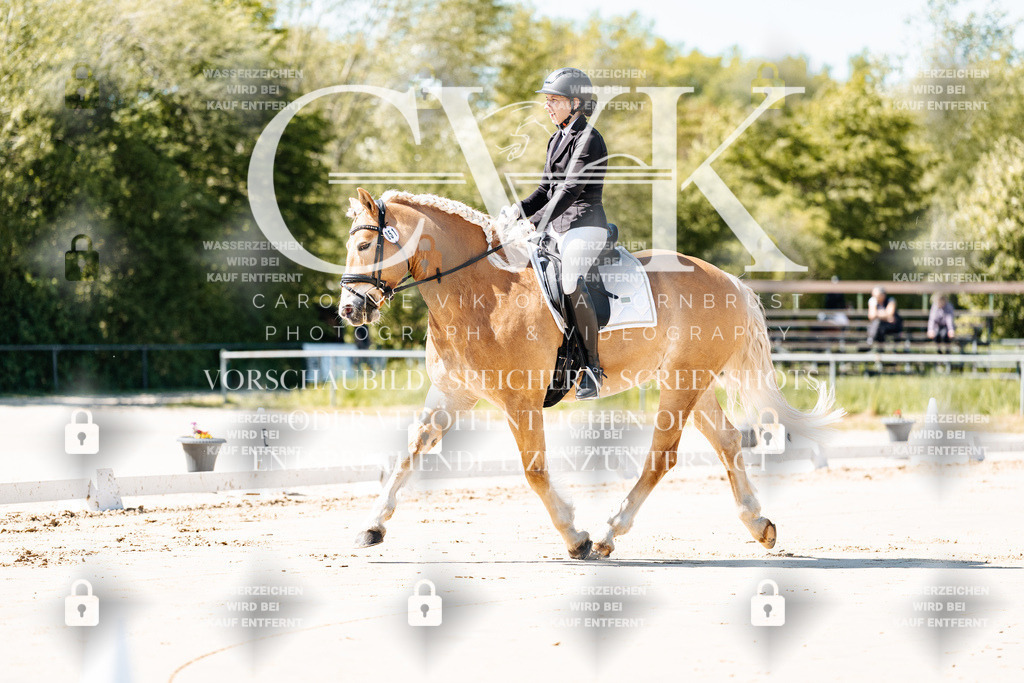 CK904927 | Turnierfotografie Pferdefotografie Trier Rheinland-Pfalz Pferdesport Reitsport Tierfotografie Sportfotografie Pferdevideo Pferdevideografie Equestrianvideography equestrianphotography  - Realisiert mit Pictrs.com