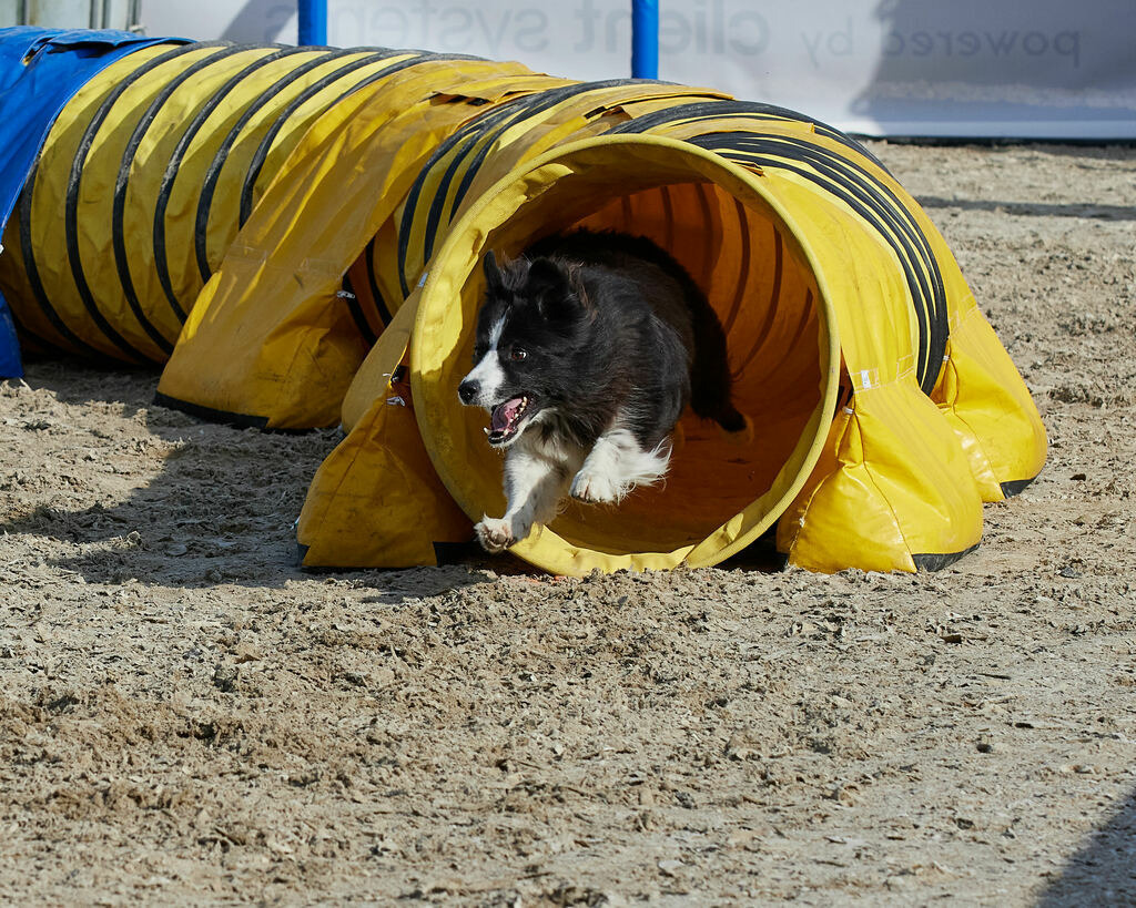 580B0045 | Peter Fridle Fotografie - Realisiert mit Pictrs.com