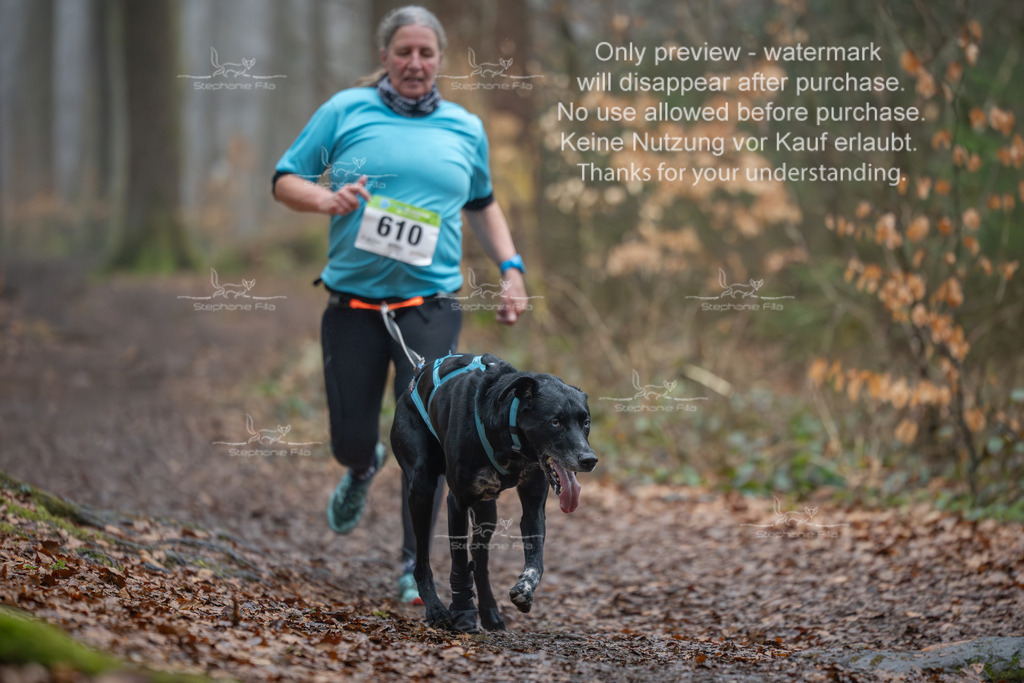 Canix_So-152 | stephaniefillaphotographie - Realisiert mit Pictrs.com