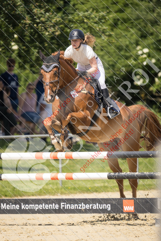 IMG_9518 | Sport-, Event- und Tierfotos in Profiqualität. Einfach auswählen, bestellen und herunterladen. Dein Moment – perfekt festgehalten.