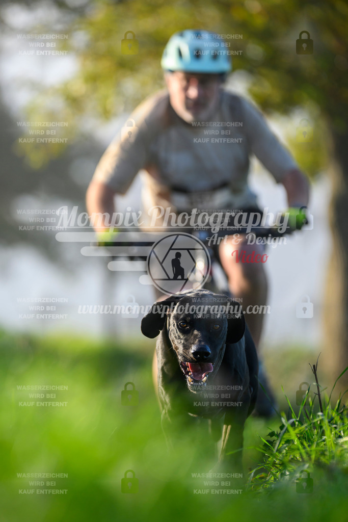 MompixPhotography_20TSB_E3_Bike-191 | PayLife