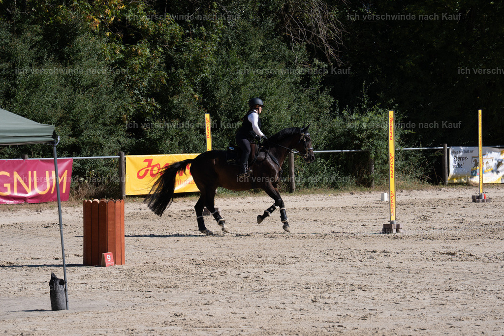 WL_SP_58_SinaFilmArt_IN05835 | working equitationturnier fotograf videograf stoibphotography marixx film working equitation deutschland reitsport turnierfotografie eventfotografie equestrian events