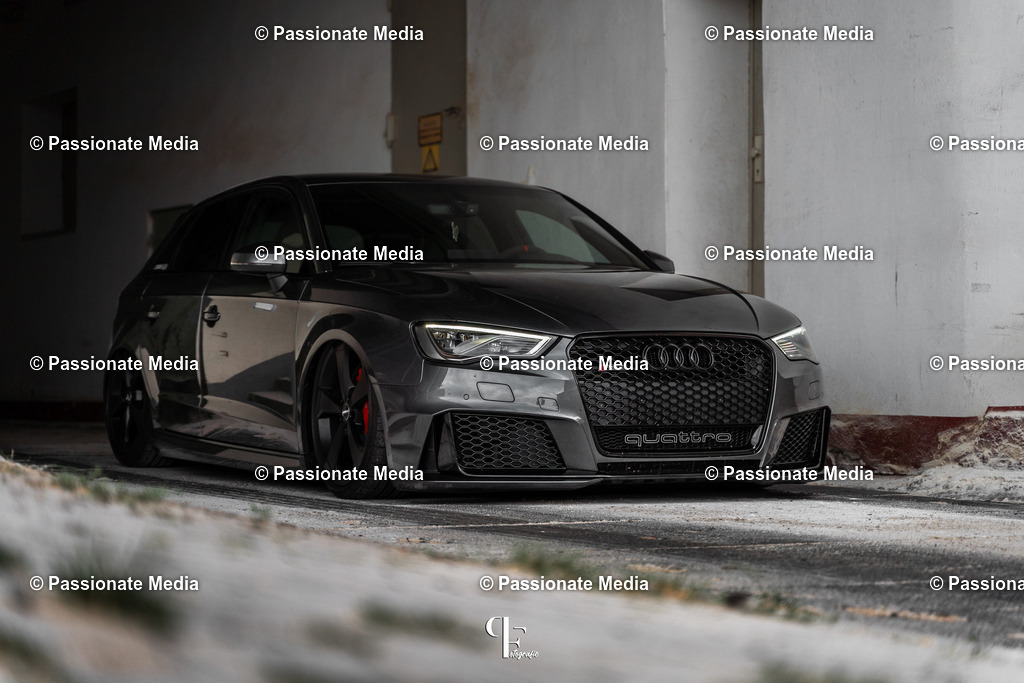 DSC07497 | Passionate Media, dein Fotograf aus Brandenburg, Märkisch Oderland, im Bereich Motorsport, Autos und Motorräder sowie Events und auch Hunde. Shootings oder auch Eventbegleitungen können bei mir gebucht we