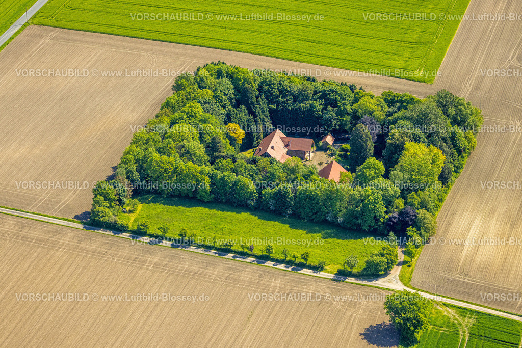 Bottrop230509957Kirchhellen | Luftbild, Haus von grüner Hecke umgeben, Grüteringsfeld, Kirchhellen-Nord-West, Bottrop, Ruhrgebiet, Nordrhein-Westfalen, Deutschland