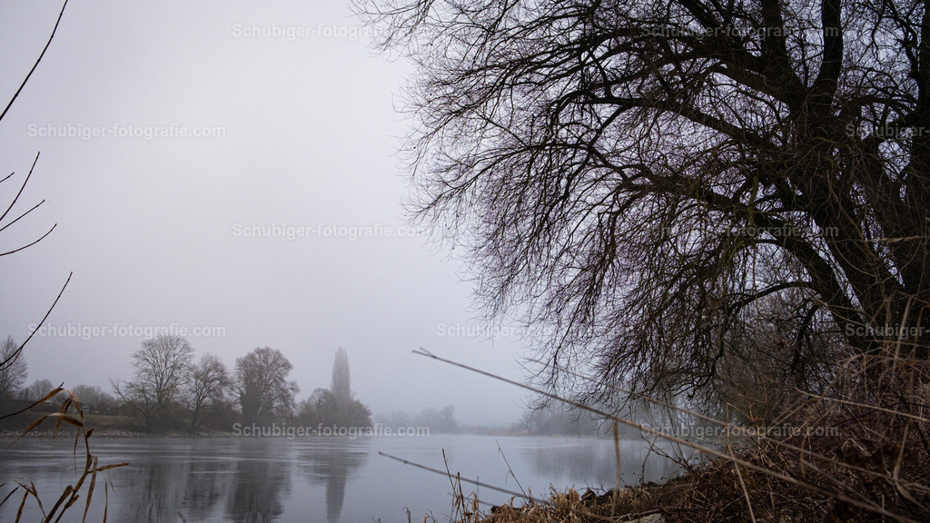 Nebel an der Aare | Spiegelung der Bäume mit Nebel an der Aare - Realisiert mit Pictrs.com