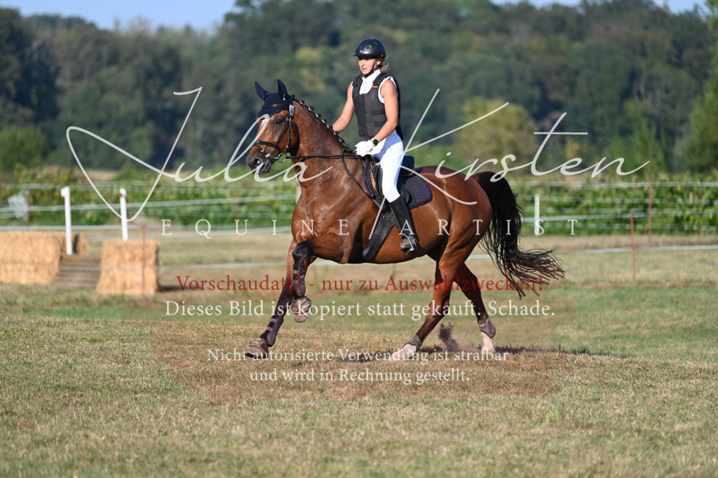 DSC_9124 | Pferde- und Turnierfotografie in Westsachsen. Pferdeportraits, Auftragszeichnungen und intuitive Kunst.