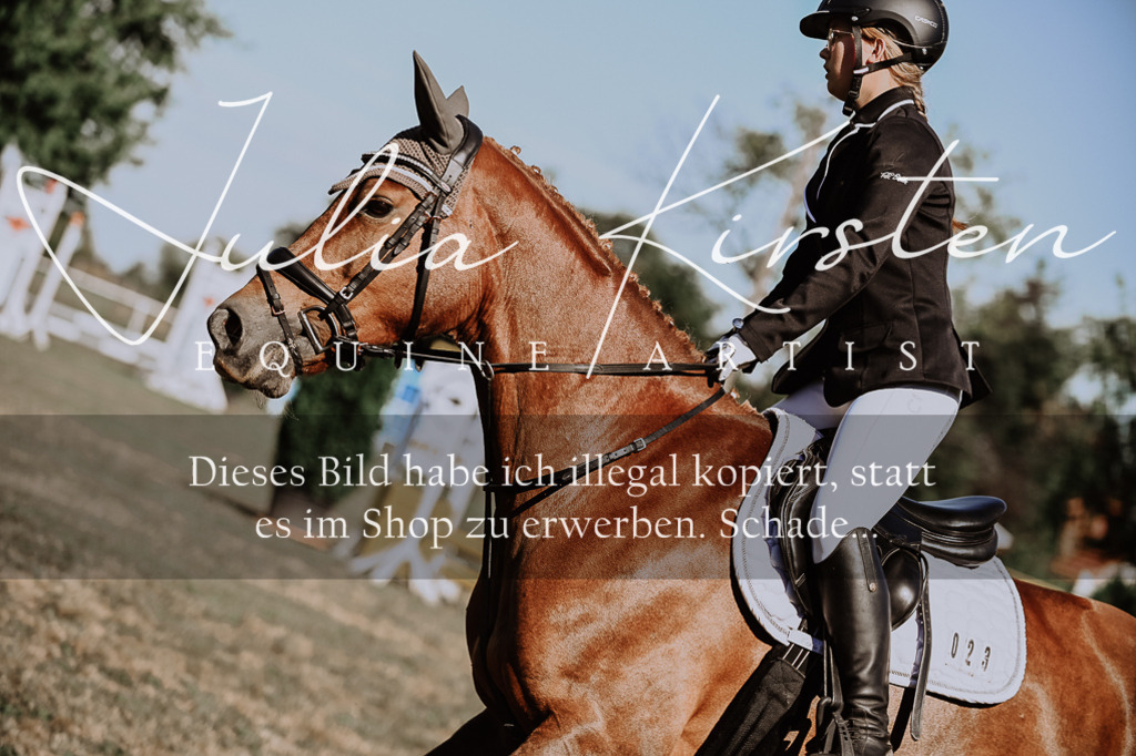 DSC_9358 | Pferde- und Turnierfotografie in Westsachsen. Pferdeportraits, Auftragszeichnungen und intuitive Kunst.