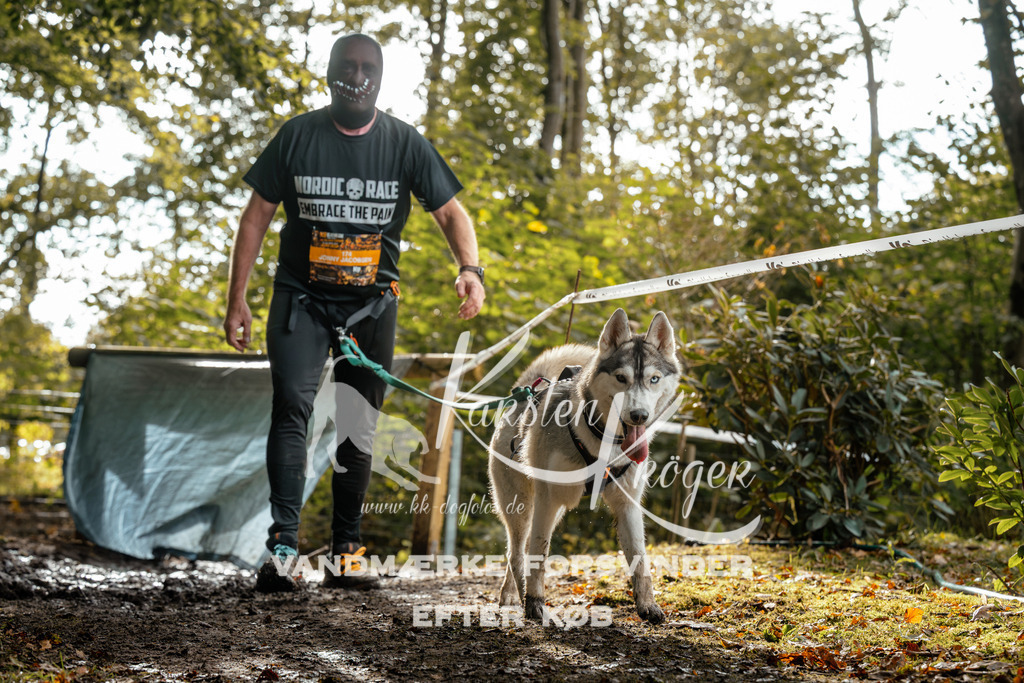 1456DZ6_3941Z6 | kk-dogfotos