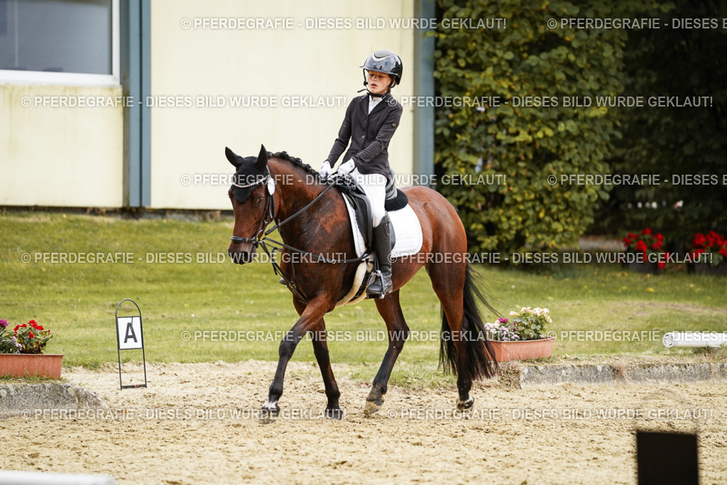 DSC00388 | Pferdegrafie