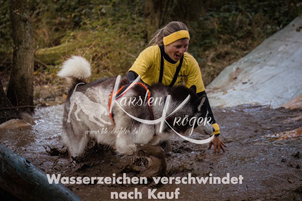 0829_ZZ90544 | kk-dogfotos