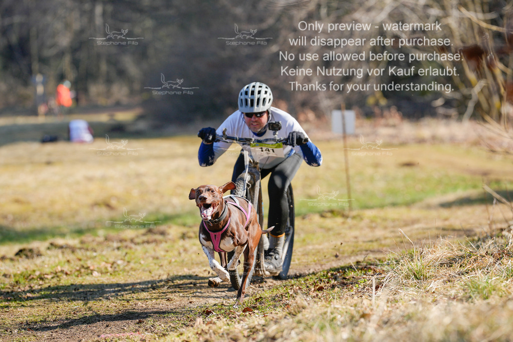 Scooter_So-12 | stephaniefillaphotographie - Realisiert mit Pictrs.com