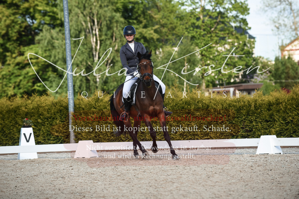 20230518_JK-Röhrsdorf-12-1083 | Pferde- und Turnierfotografie in Westsachsen. Pferdeportraits, Auftragszeichnungen und intuitive Kunst.