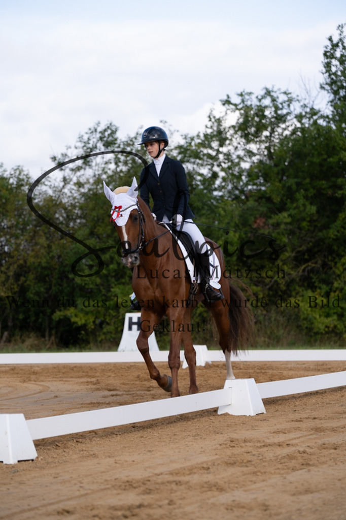 A7V05126 | Pferdefotograf