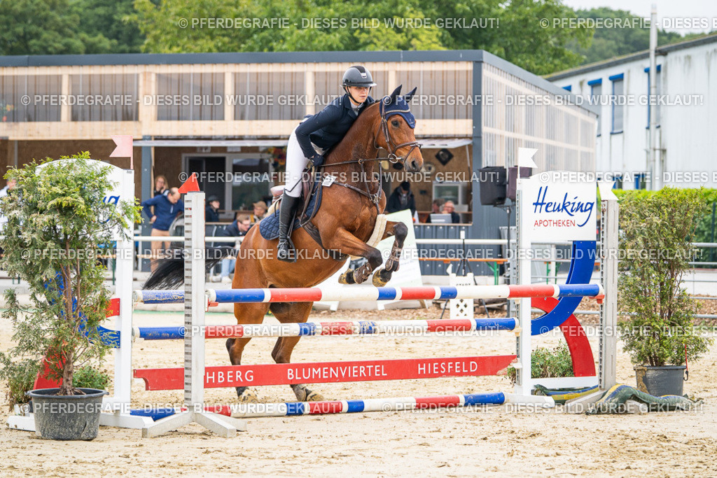 DSC09948 | Pferdegrafie