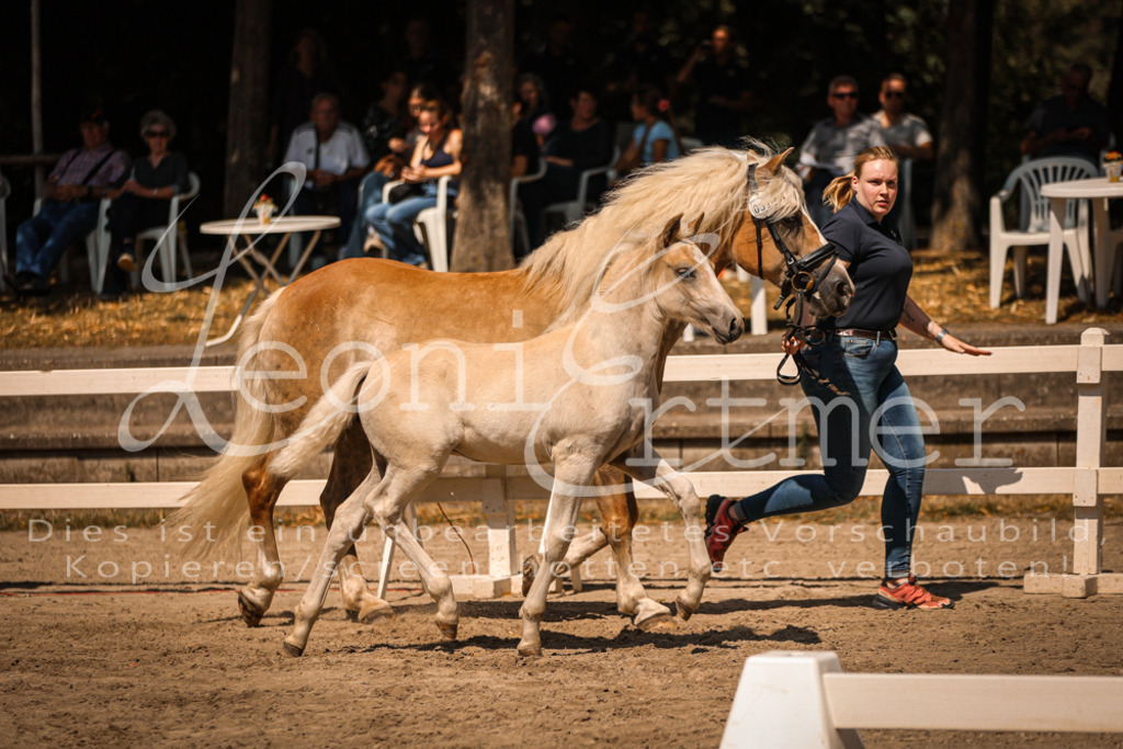 06.DoH00119 | Leoni Ertmer Photography - Realisiert mit Pictrs.com