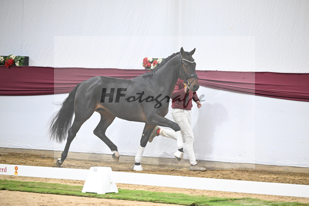 Kat-Nr. 46 Zenetti x Ritz Carlton_Udo Kast_47251624 | hf-fotografie - Realisiert mit Pictrs.com