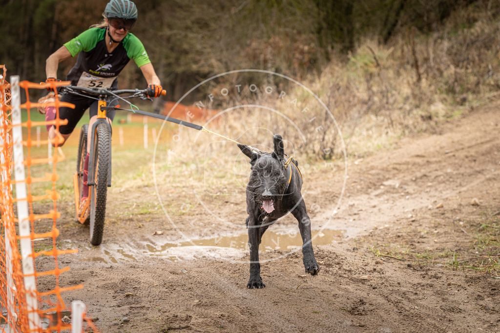 DV3A1549 | Hundefotografie, Tierfotograf, Pfotenfotografie, Fotoshooting Hund, Hunde Portrait, Hundesport, Hundeportraits, Heideshooting, Hunde, Sportfotograf, Hundefotograf, Turnierhundsport, THS,  - Realisiert mit Pictrs.com