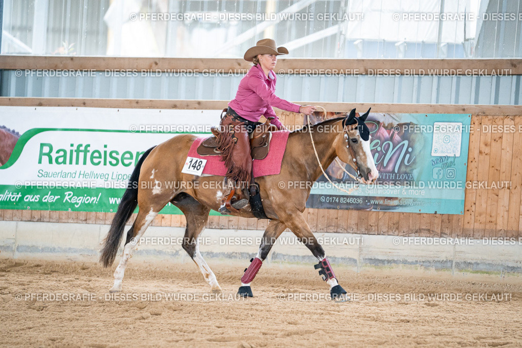 DSC08910 | Pferdegrafie