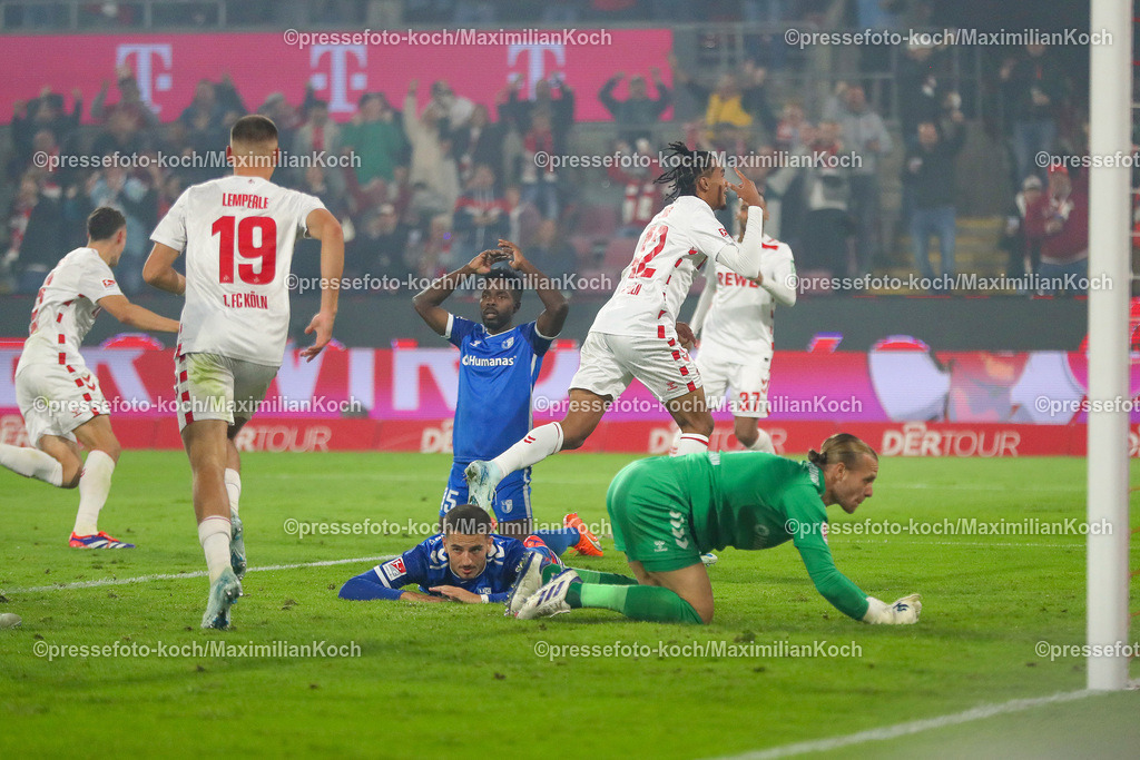 Koe14092401030 | 14.09.2024, 2. Fußball Bundesliga, 1. FC Köln - 1. FC Magdeburg, RheinEnergieSTADION, Saison 2024 2025: Torjubel nach dem 1:0 diurch Damion Downs (1.FC Köln #42)DFB regulations prohibit any use of photographs as image sequences and or quasi-video.