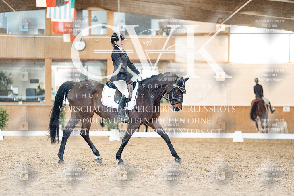 CK907967 | Turnierfotografie Pferdefotografie Trier Rheinland-Pfalz Pferdesport Reitsport Tierfotografie Sportfotografie Pferdevideo Pferdevideografie Equestrianvideography equestrianphotography  - Realisiert mit Pictrs.com