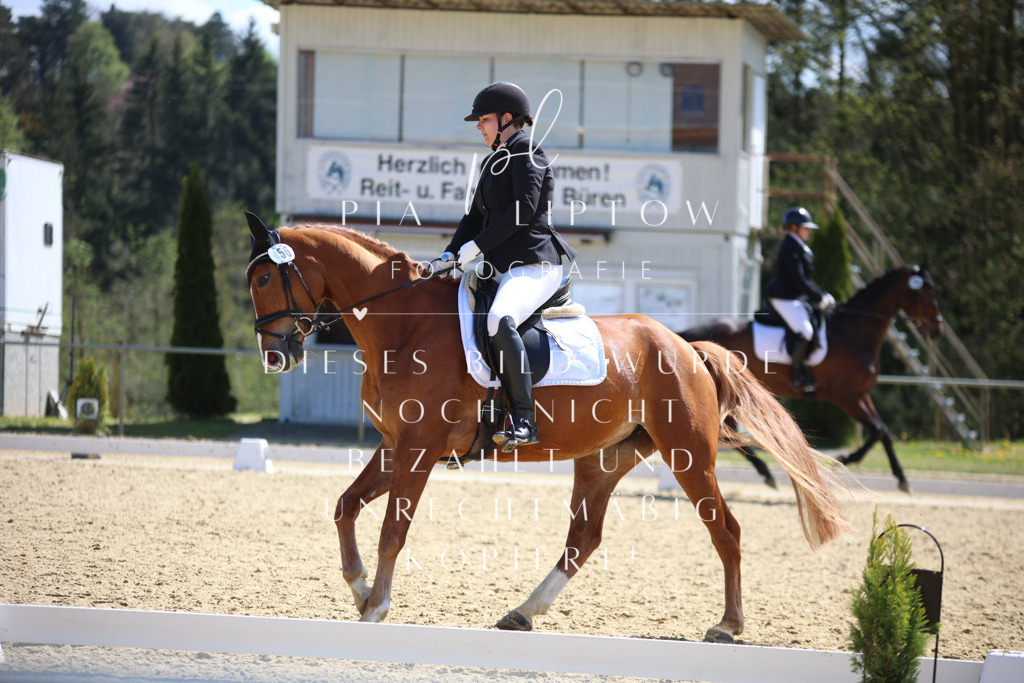 IMGT2247 | pl-fotografie