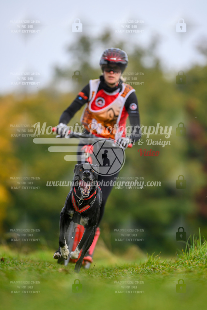 MompixPhotography_CDLBDB2025_DI_DS-84 | PayLife