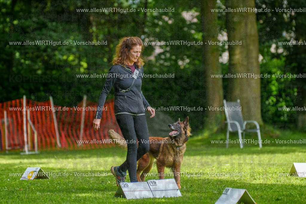 @allesWIRTHgut_Tierfotografie - www.allesWIRTHgut.de - 7R503737 | Professionelle Tierfotografie in Mönchengladbach von Daniel Wirth (allesWIRTHgut). Liebevolle & natürliche Bilder von Hunden & Katzen für unvergessliche Erinnerungen.